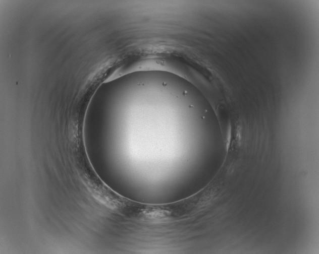 X0000077410407200610201506