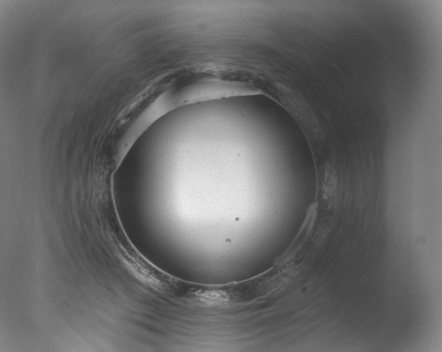 X0000077410409200610201506
