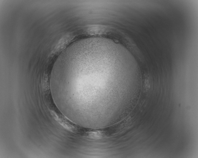 X0000077410411200610201506