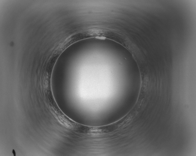 X0000077410413200610201506