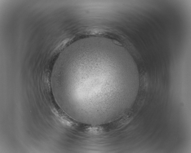 X0000077410415200610201506