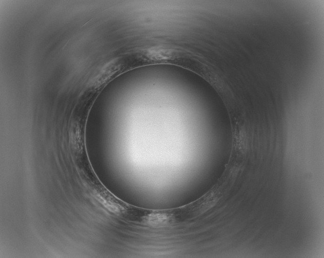 X0000077410418200610201506