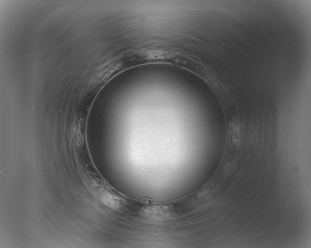 X0000077410422200610201506