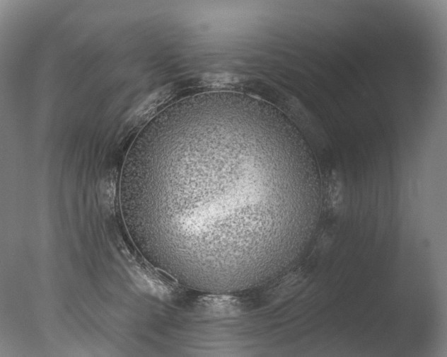 X0000077410427200610201506
