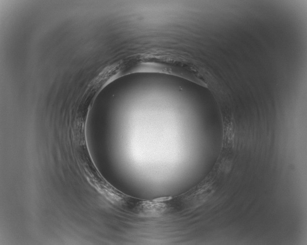 X0000077410429200610201506
