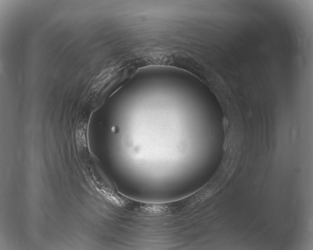 X0000077410432200610201506