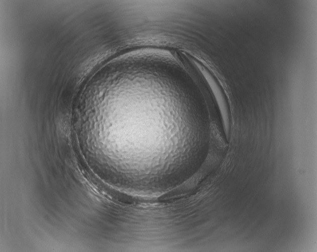 X0000077410434200610201505