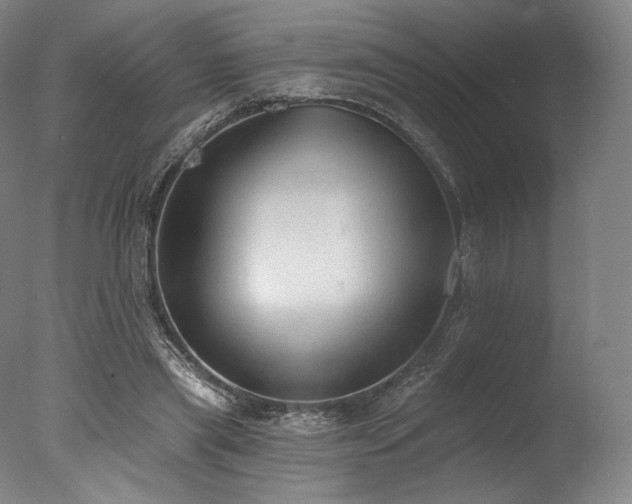 X0000077410445200610201505