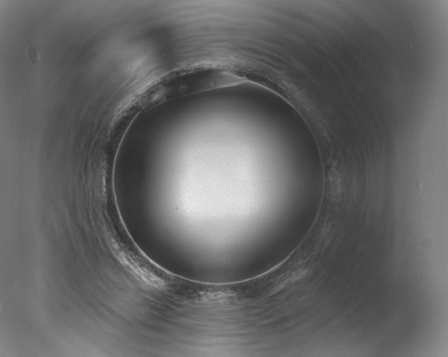 X0000077410446200610201505