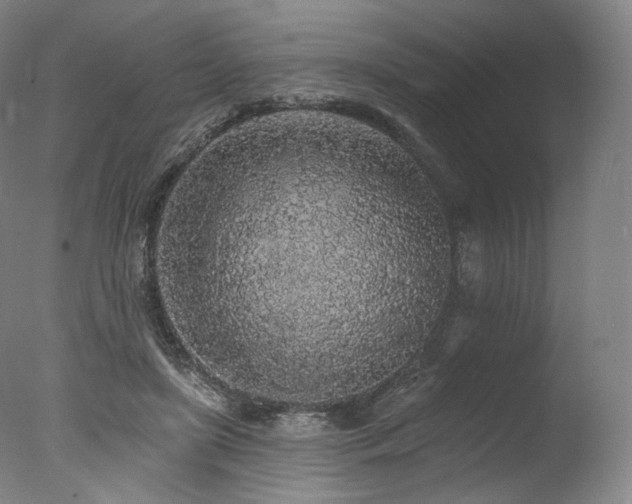 X0000077410451200610201505