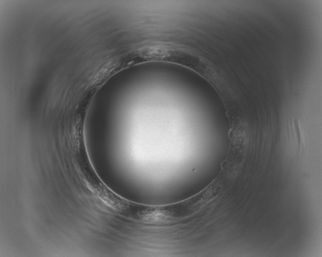 X0000077410460200610201505