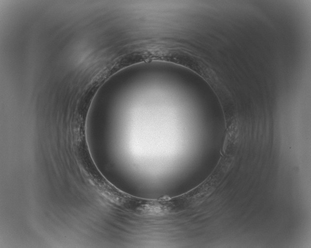 X0000077410464200610201505