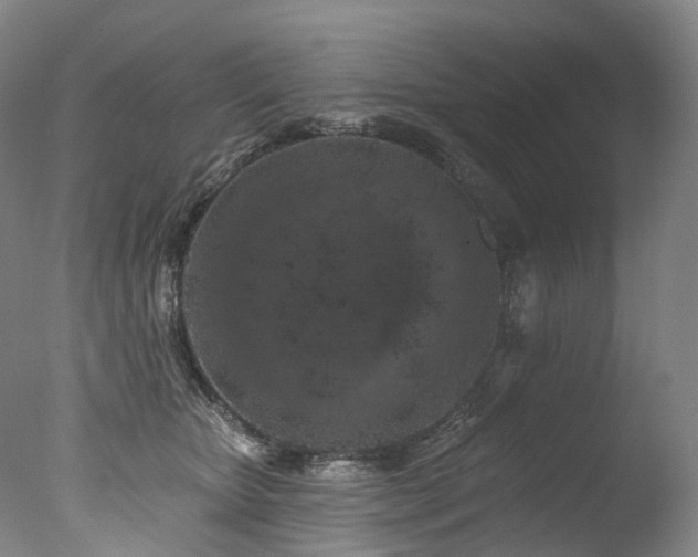 X0000077410467200610201505
