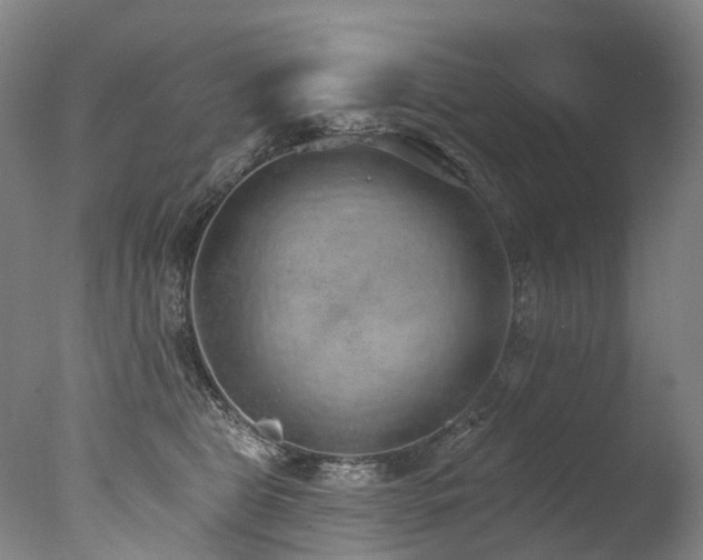 X0000077410469200610201505