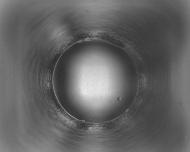 X0000077410470200610201505