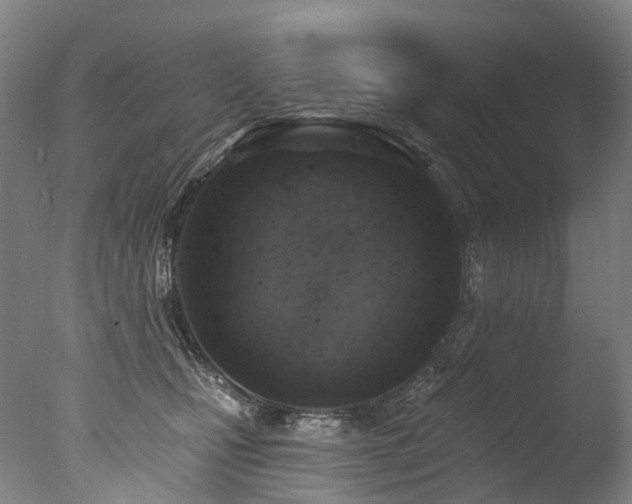 X0000077410471200610201505