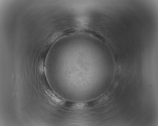 X0000077410479200610201505