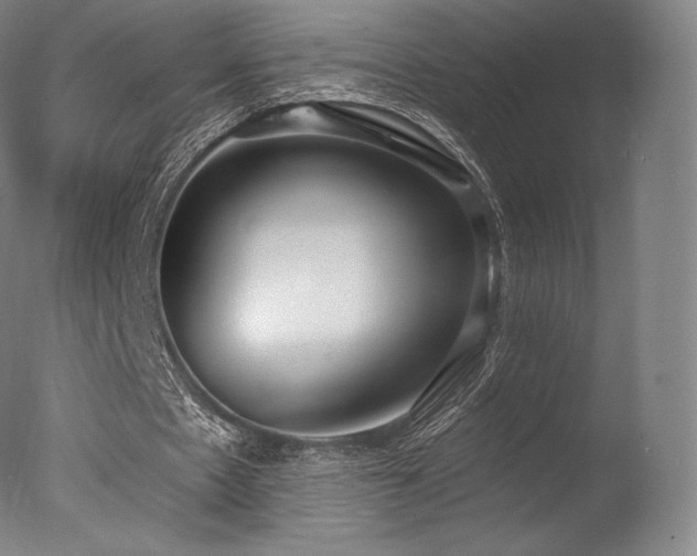 X0000077410481200610201505