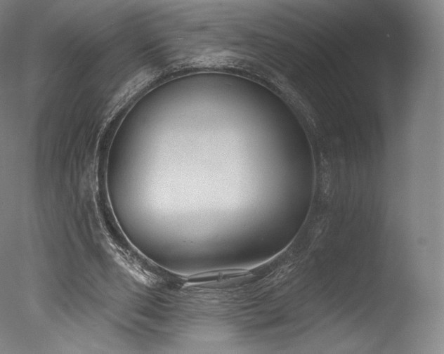X0000077410486200610201505