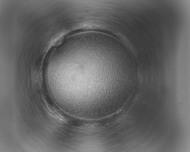 X0000077410488200610201505