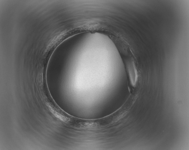 X0000077410493200610201504
