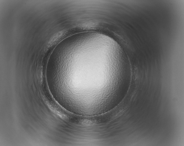 X0000077410494200610201504
