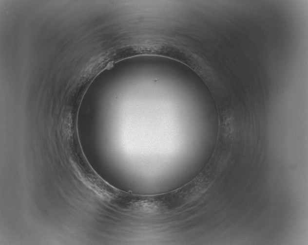 X0000077410498200610201504