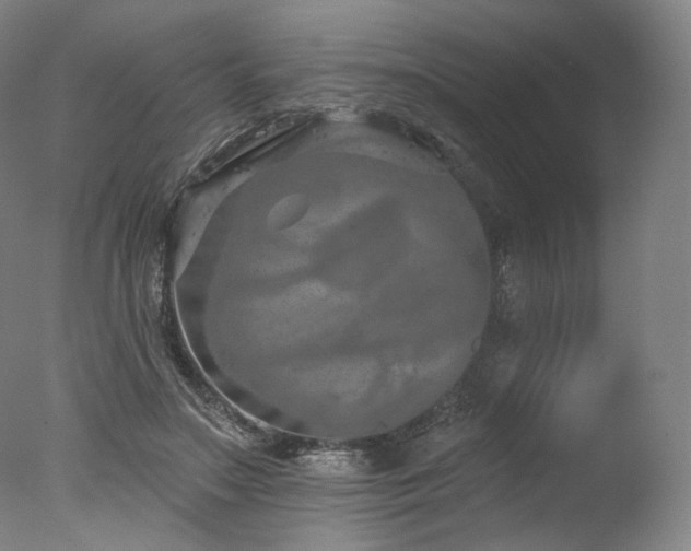 X0000077410499200610201504