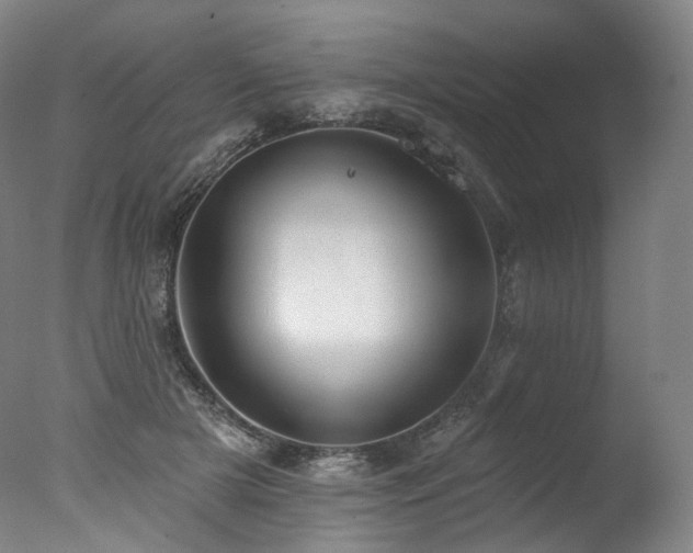 X0000077410505200610201504