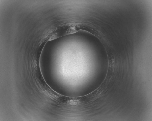 X0000077410508200610201504
