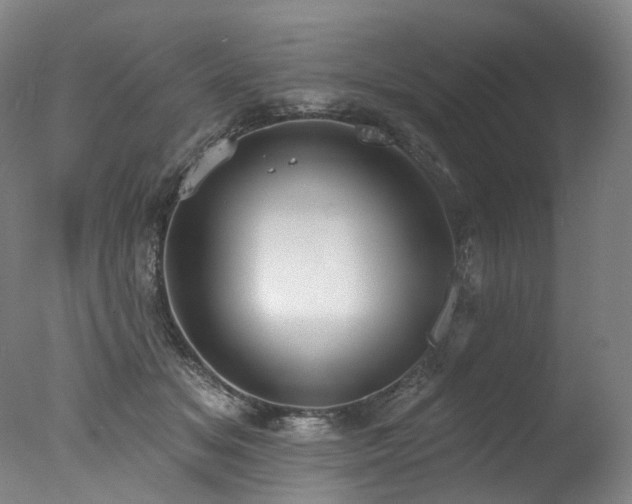 X0000077410509200610201504