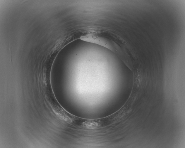 X0000077410512200610201504