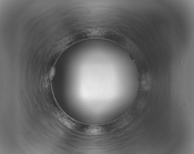 X0000077410514200610201504