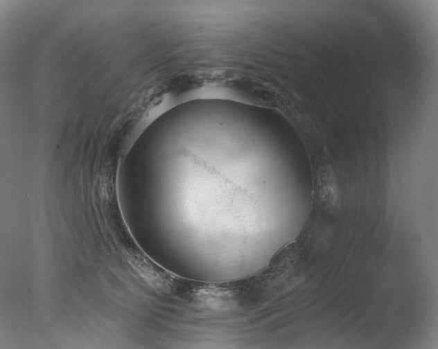 X0000077410515200610201504
