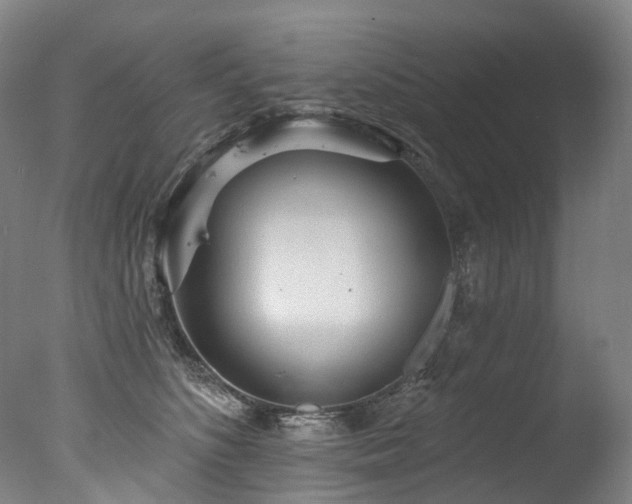 X0000077410516200610201504