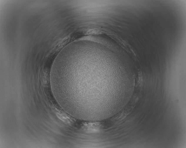 X0000077410517200610201504