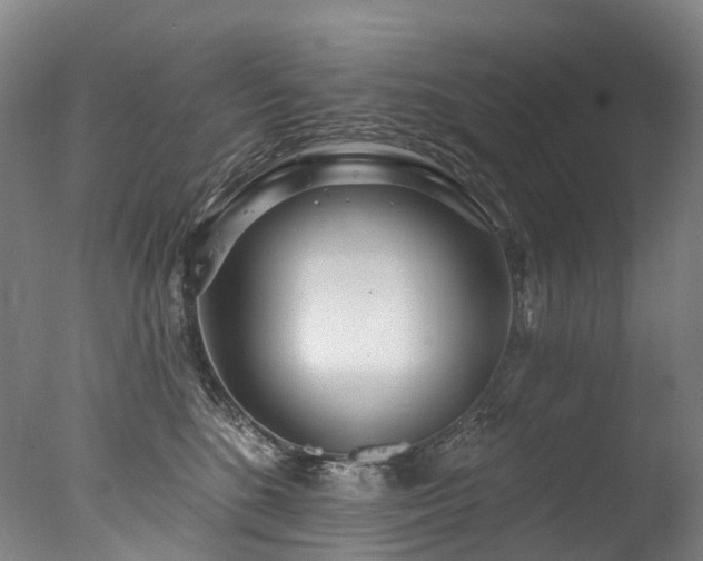 X0000077410520200610201504