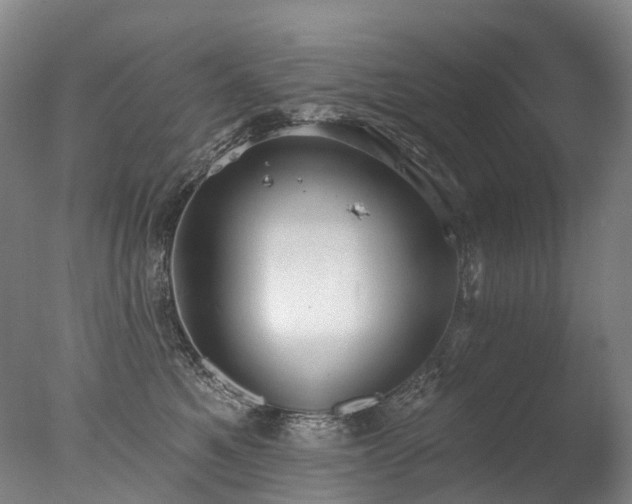 X0000077410521200610201504