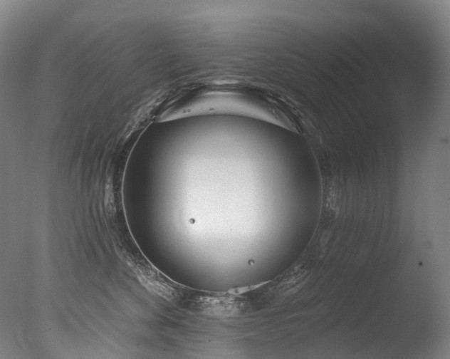X0000077410524200610201504