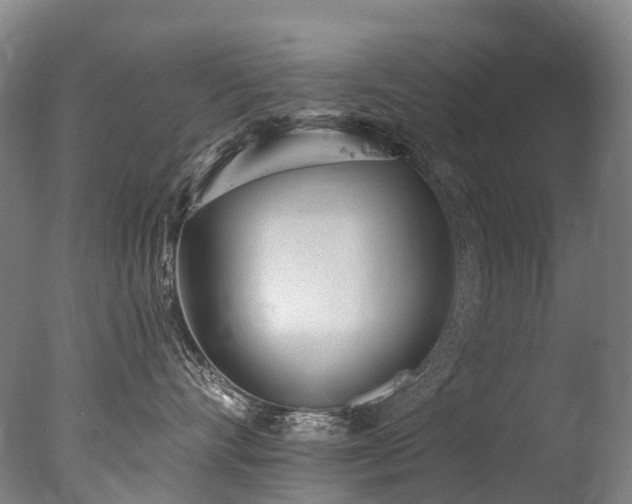 X0000077410528200610201504