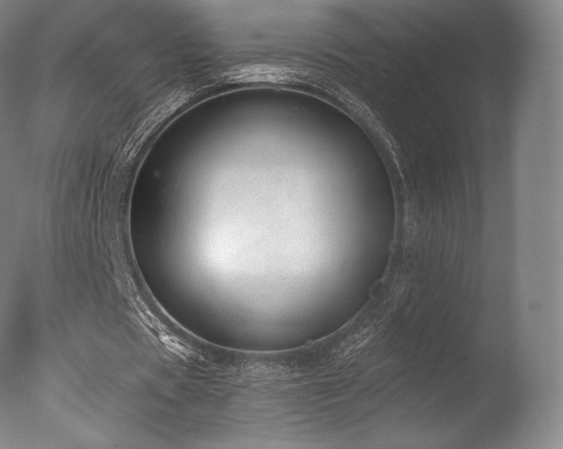 X0000077410529200610201503