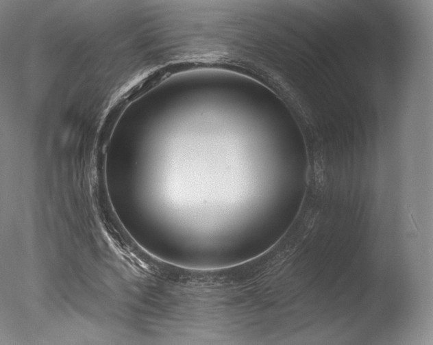 X0000077410532200610201503