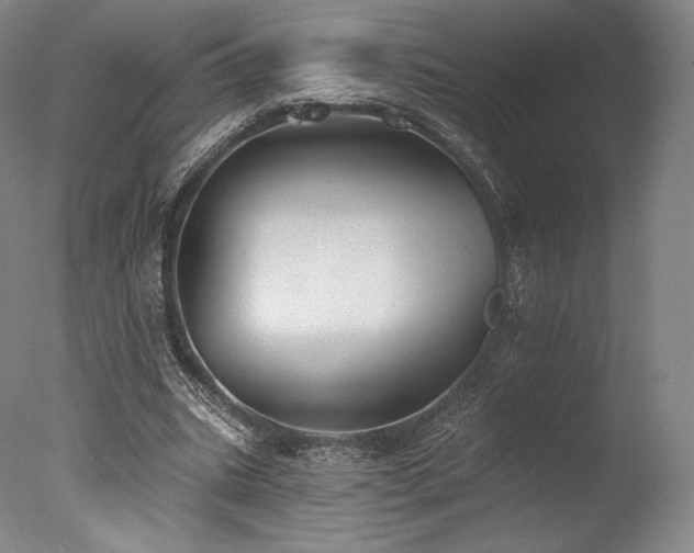 X0000077410535200610201503