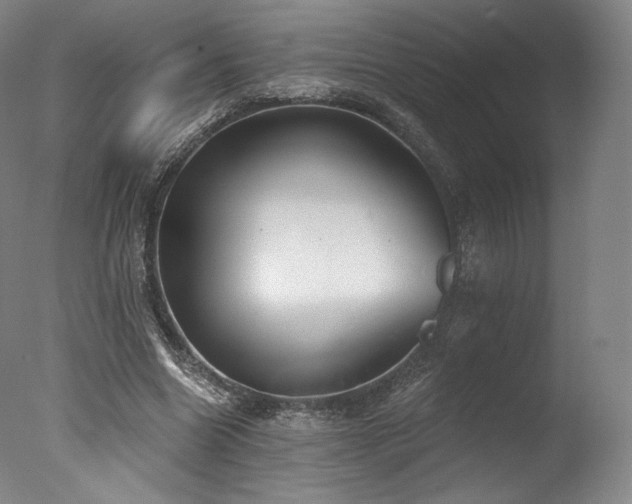 X0000077410538200610201503