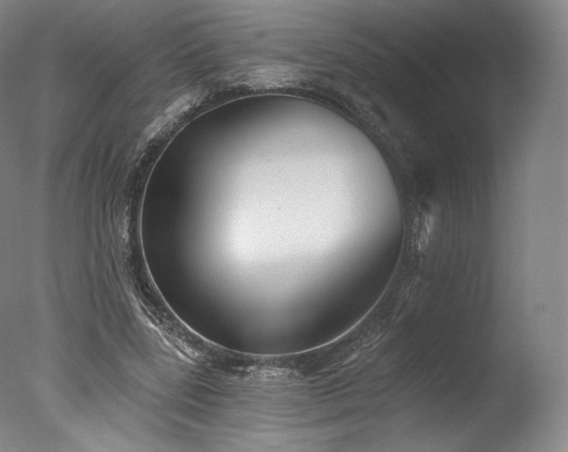 X0000077410539200610201503