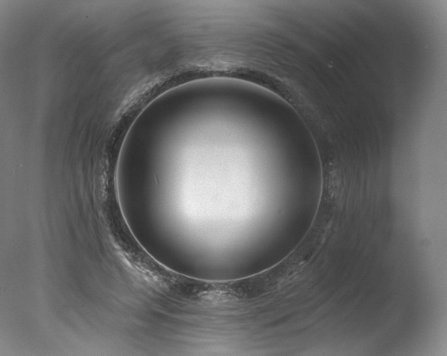 X0000077410544200610201503