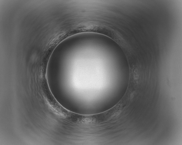 X0000077410546200610201503