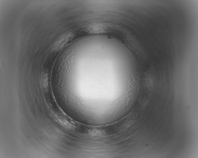 X0000077410549200610201503