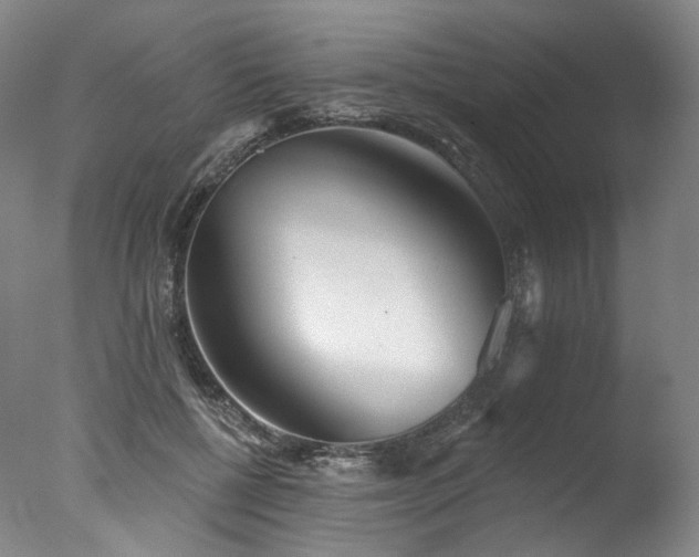 X0000077410552200610201503