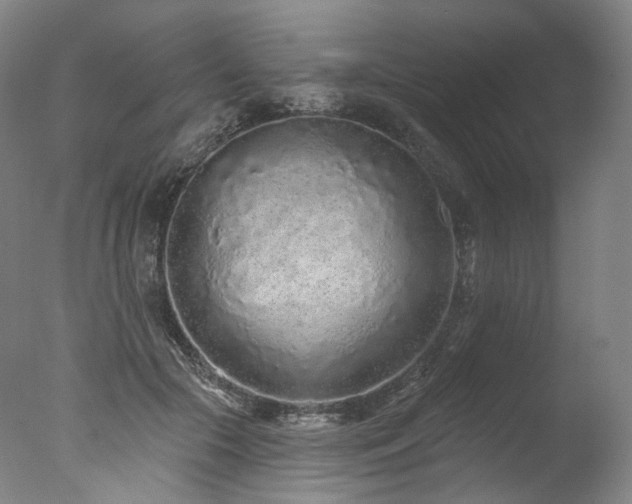 X0000077410553200610201504